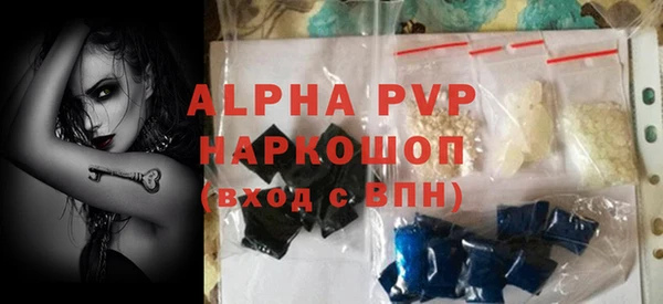 ПСИЛОЦИБИНОВЫЕ ГРИБЫ Верея