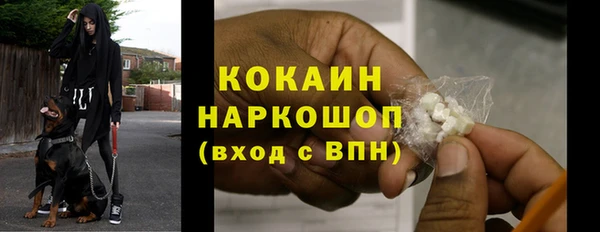 ПСИЛОЦИБИНОВЫЕ ГРИБЫ Верея