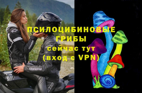 ПСИЛОЦИБИНОВЫЕ ГРИБЫ Верея