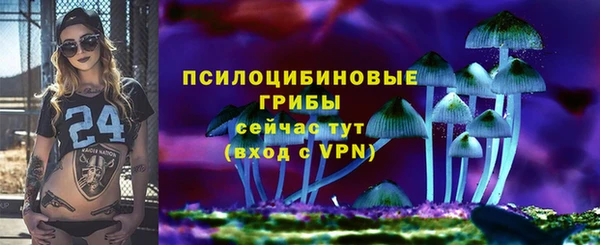 ПСИЛОЦИБИНОВЫЕ ГРИБЫ Верея