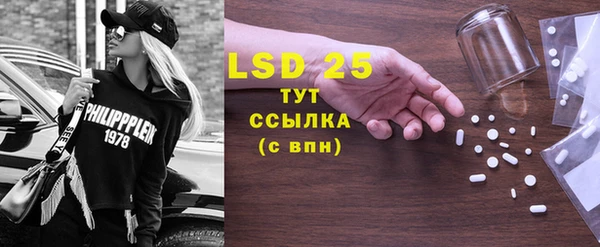 ПСИЛОЦИБИНОВЫЕ ГРИБЫ Верея