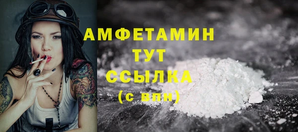 ПСИЛОЦИБИНОВЫЕ ГРИБЫ Верея