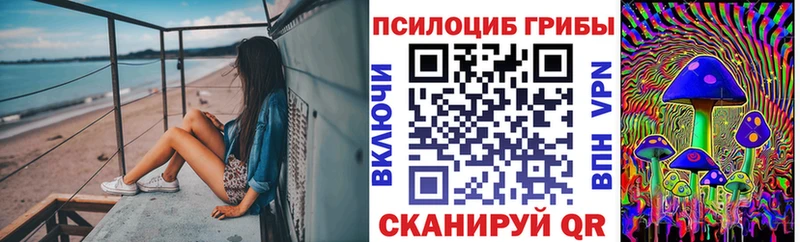 Псилоцибиновые грибы ЛСД Купить где Верхняя Пышма